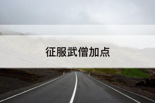 征服武僧加点