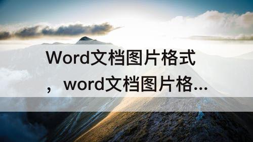 Word文档图片格式，word文档图片格式布局位置设置为水平