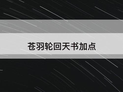 苍羽轮回天书加点