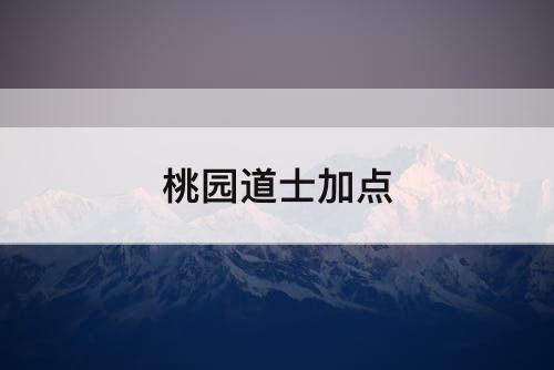 桃园道士加点