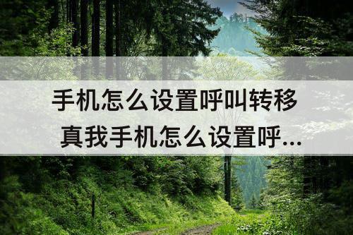 手机怎么设置呼叫转移 真我手机怎么设置呼叫转移