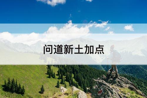 问道新土加点