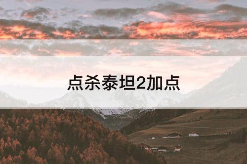 点杀泰坦2加点