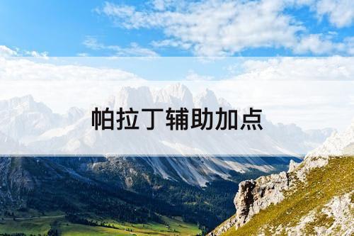 帕拉丁辅助加点