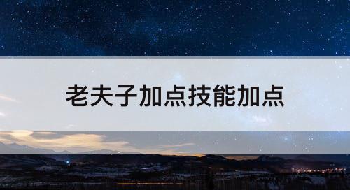 老夫子加点技能加点