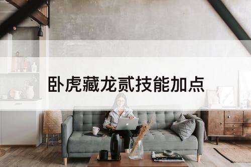 卧虎藏龙贰技能加点