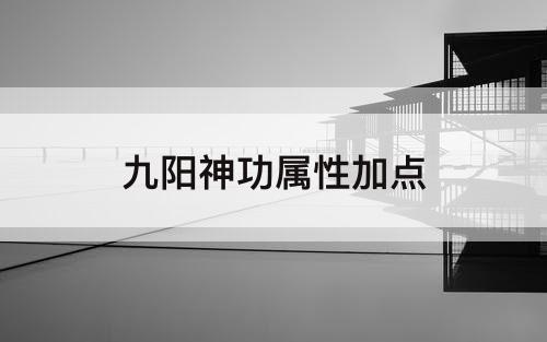 九阳神功属性加点