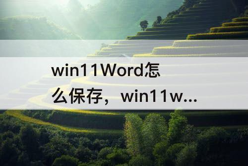 win11Word怎么保存，win11word怎么保存成图片