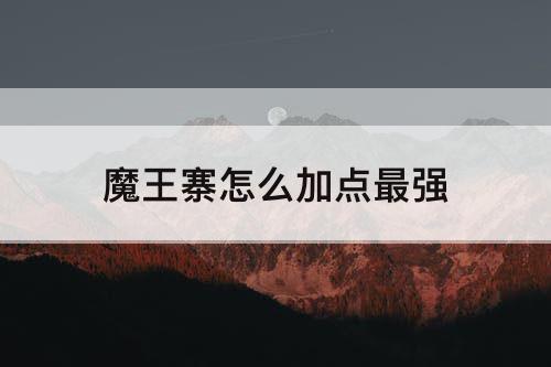 魔王寨怎么加点最强