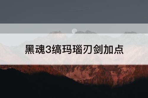 黑魂3缟玛瑙刃剑加点
