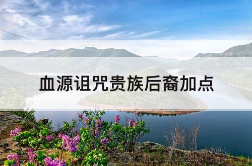 血源诅咒贵族后裔加点