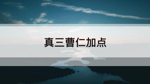 真三曹仁加点