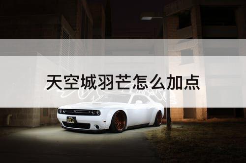 天空城羽芒怎么加点