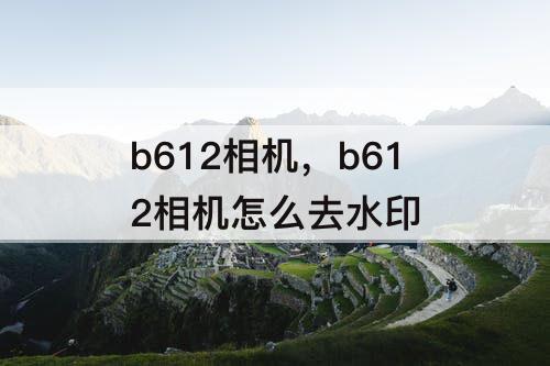 b612相机，b612相机怎么去水印