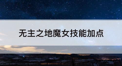 无主之地魔女技能加点