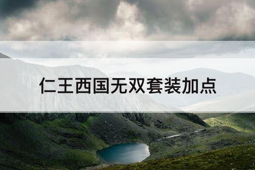 仁王西国无双套装加点