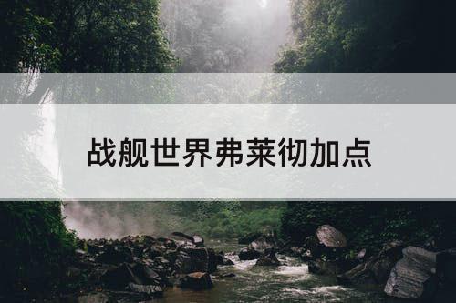 战舰世界弗莱彻加点