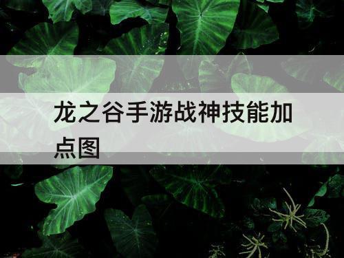 龙之谷手游战神技能加点图