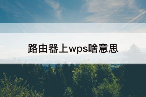 路由器上wps啥意思