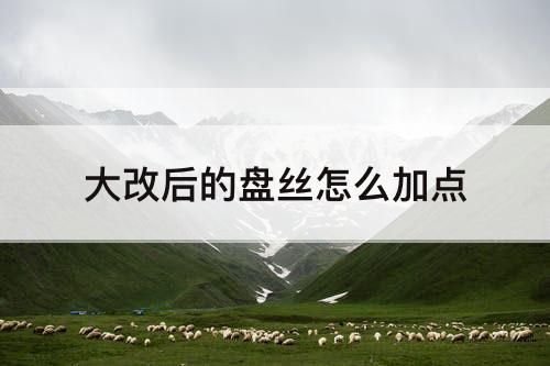 大改后的盘丝怎么加点