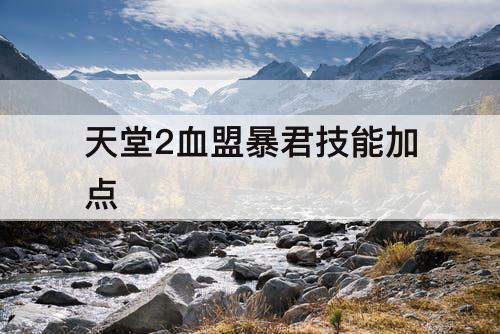 天堂2血盟暴君技能加点