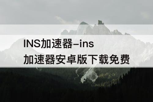 INS加速器-ins加速器安卓版下载免费