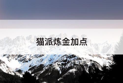 猫派炼金加点