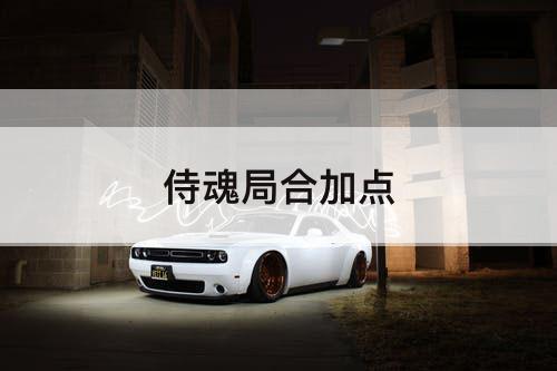 侍魂局合加点