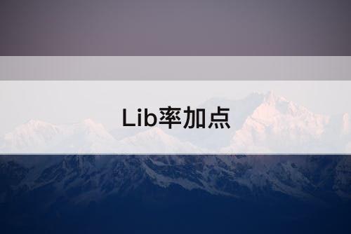 Lib率加点