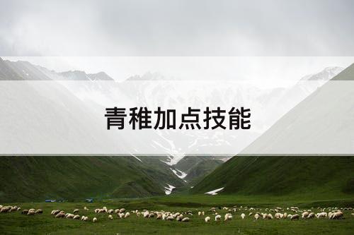 青稚加点技能
