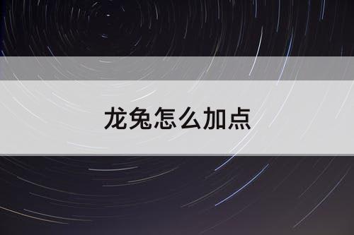 龙兔怎么加点