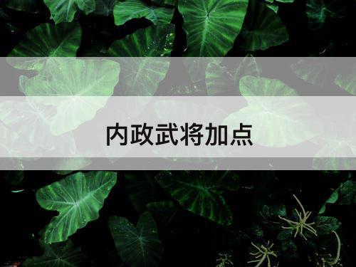 内政武将加点