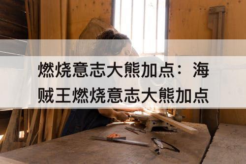 燃烧意志大熊加点：海贼王燃烧意志大熊加点