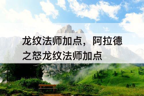 龙纹法师加点，阿拉德之怒龙纹法师加点