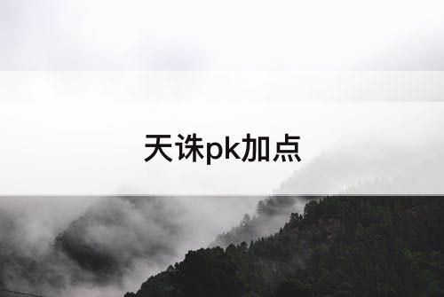 天诛pk加点