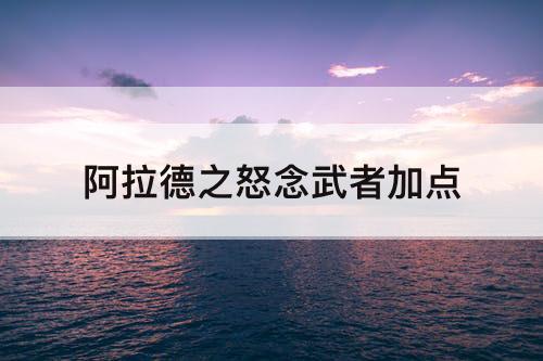 阿拉德之怒念武者加点