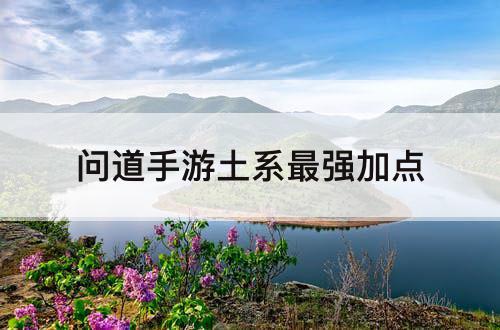 问道手游土系最强加点