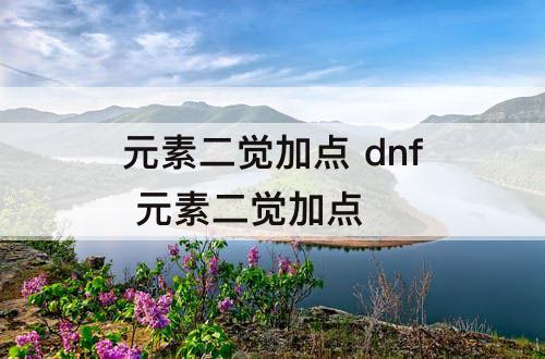 元素二觉加点 dnf 元素二觉加点