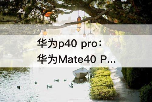 华为p40 pro：华为Mate40 Pro和华为p40 Pro