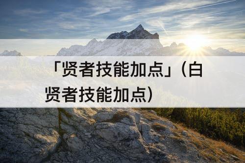 「贤者技能加点」(白贤者技能加点)