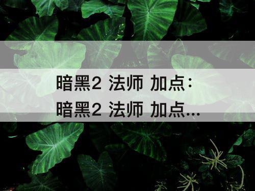 暗黑2 法师 加点：暗黑2 法师 加点 火龙