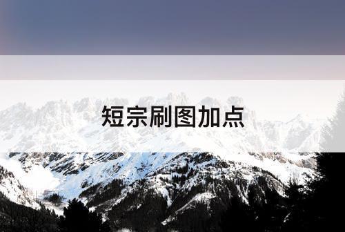 短宗刷图加点