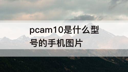 pcam10是什么型号的手机图片