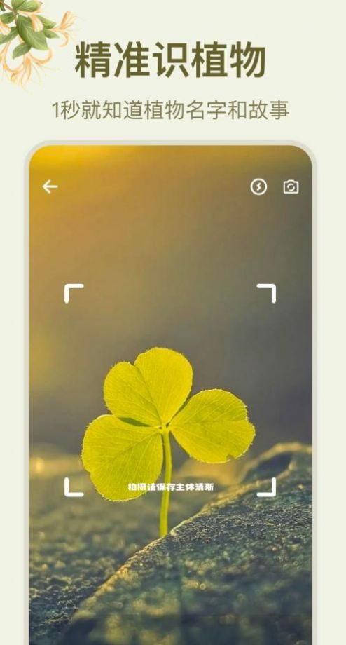 拍照识花大师  v1.1图2