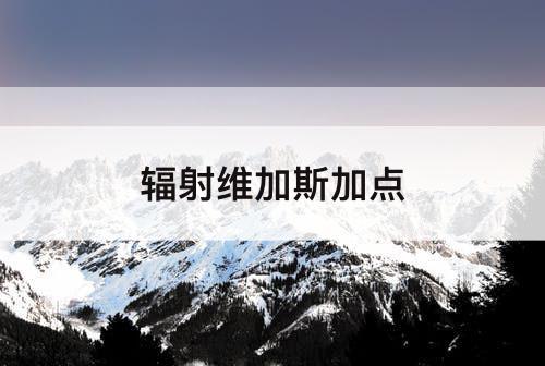 辐射维加斯加点