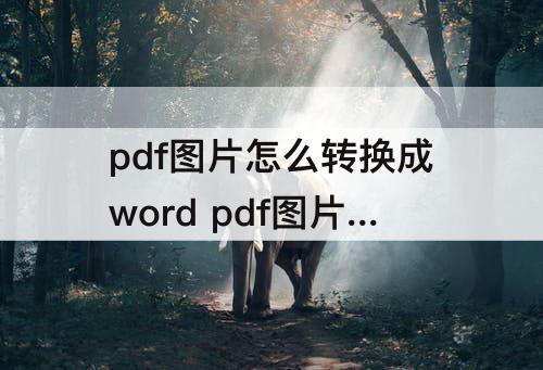 pdf图片怎么转换成word pdf图片怎么转换成word文档格式乱码