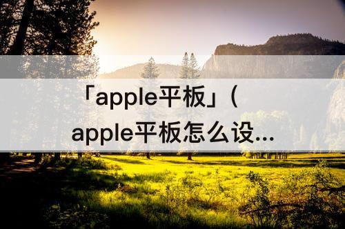 「apple平板」(apple平板怎么设置手写)