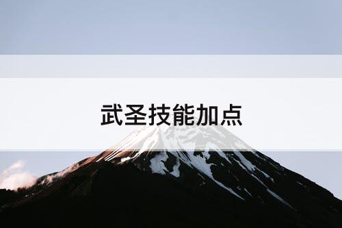 武圣技能加点