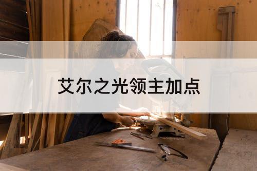 艾尔之光领主加点