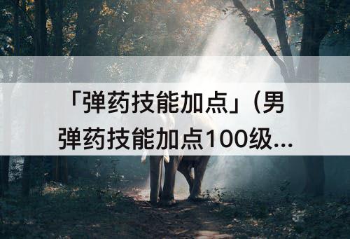 「弹药技能加点」(男弹药技能加点100级)